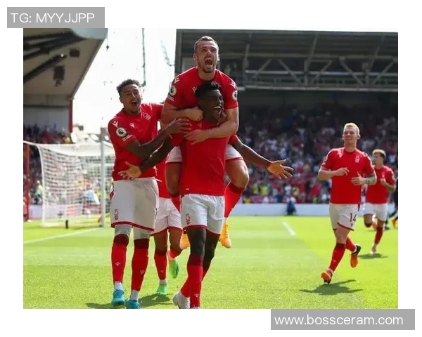 加迪夫城主场迎战西汉姆联期待精彩对决与激烈竞争